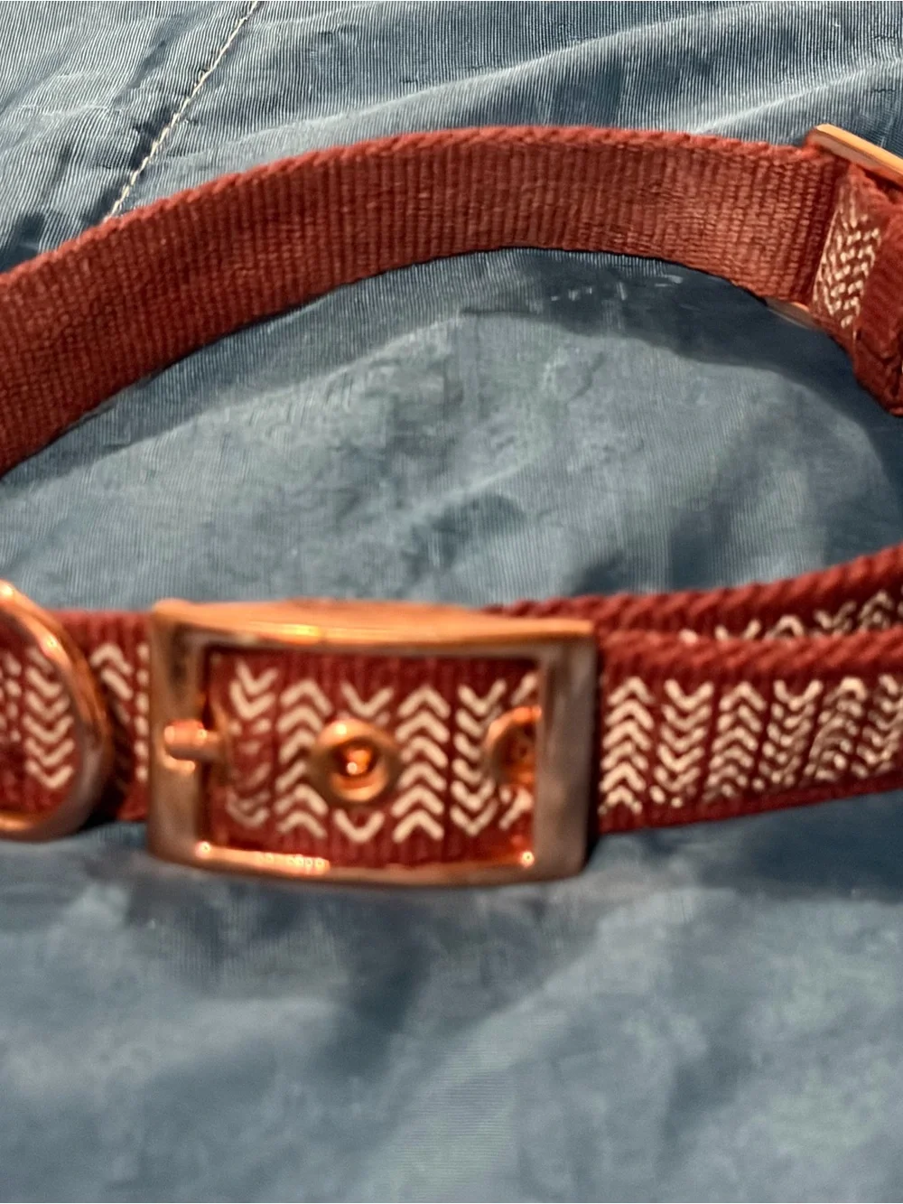 Rust Red Woven Fabric Dog collar with Gold-Tone Buckle